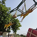 DSC00227.JPG