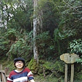 DSC00339.JPG