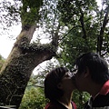 DSC00338.JPG