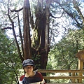 DSC00347.JPG