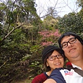DSC00350.JPG