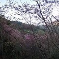DSC00367.JPG