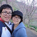 DSC00370.JPG
