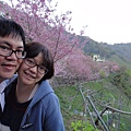 DSC00375.JPG