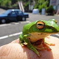 DSC00487.JPG