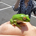 DSC00486.JPG
