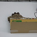 DSC00687.JPG