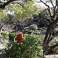 DSC03603.JPG