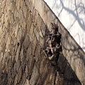 DSC03616.JPG