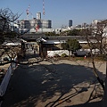 DSC03619.JPG