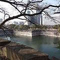 DSC03617.JPG