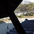 DSC03624.JPG