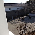 DSC03625.JPG