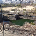 DSC03631.JPG