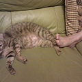20110910IMAG0069.jpg
