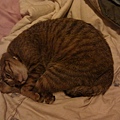20110903IMAG0061.jpg