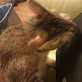20110910IMAG0064.jpg