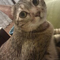 20110910IMAG0066.jpg