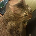 20110910IMAG0065.jpg