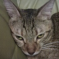 20111023IMAG0082.jpg