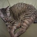 20111023IMAG0083.jpg
