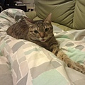 20130105IMAG0446.jpg
