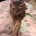 20130105IMAG0445.jpg