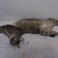 20120714IMAG0246.jpg