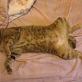 20120415IMAG0228.jpg