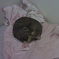 20130713IMAG0714.jpg