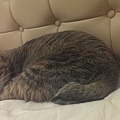 20140109IMAG1020.jpg