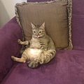20130810IMAG0745.jpg