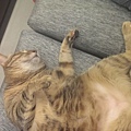 20140107IMAG1017.jpg