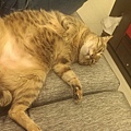 20140107IMAG1018.jpg