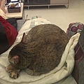 20140105IMAG1016.jpg
