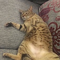 20140421IMAG1188.jpg