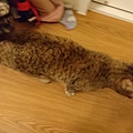 20160624DSC_0003.JPG