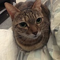 20141205IMAG1652.jpg