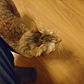 20160624DSC_0005.JPG