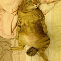 20161007DSC_0278.JPG