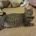 20110626.jpg
