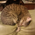 2030101IMAG0443.jpg