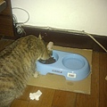20110626IMAG0010.jpg
