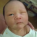 相片 2018-5-5 上午4 47 38.jpg