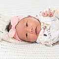 BAA_3411.jpg