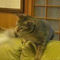 20110317