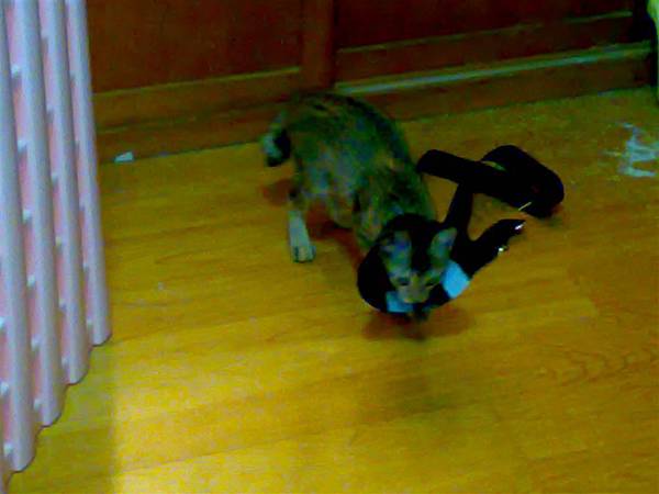 20101014011.jpg
