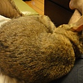 20110501