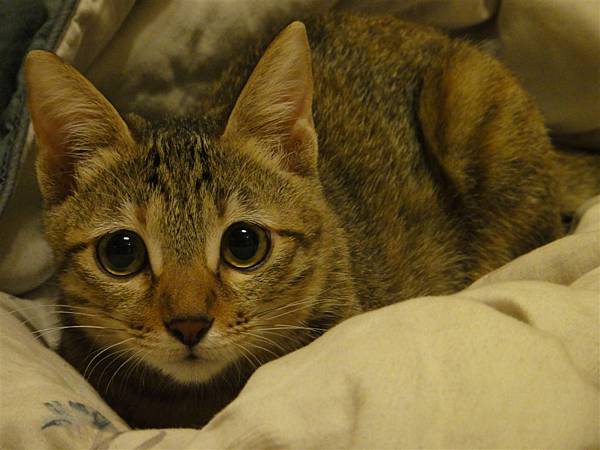 20101206