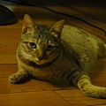 20110501
